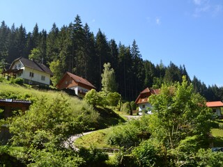 Ferienhaus Twimberg Umgebung 24