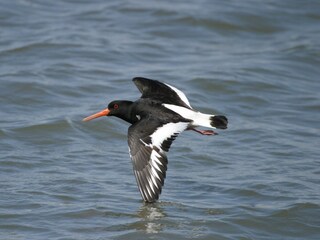Casa per le vacanze Langeoog Ambiente 19