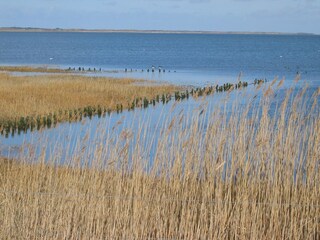 Casa per le vacanze Langeoog Ambiente 20