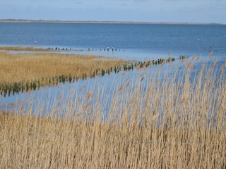 Wattenmeer