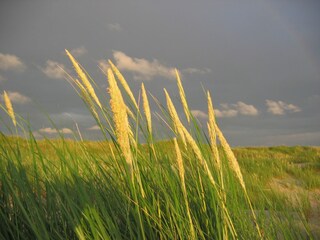 Casa per le vacanze Langeoog Ambiente 22