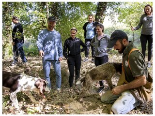 Villa Montalcino Omgeving 37