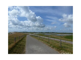 Vakantieappartement De Cocksdorp Omgeving 19