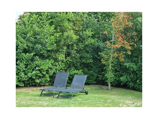 Appartamento per vacanze De Cocksdorp Registrazione all'aperto 5