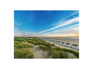 Appartamento per vacanze De Cocksdorp Ambiente 21