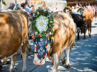 Ferienpark Wald im Pinzgau Umgebung 27