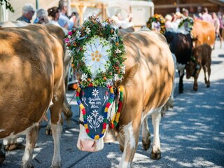 Ferienpark Wald im Pinzgau Umgebung 26