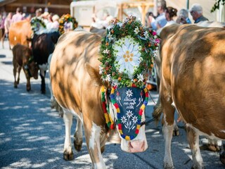 Ferienpark Wald im Pinzgau Umgebung 29
