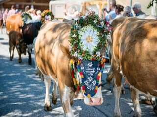 Vakantiepark Wald im Pinzgau Kenmerken 15