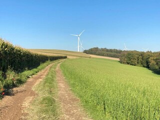 Maison de vacances Hastière Environnement 35