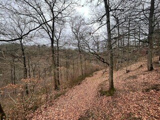 Ferienhaus Hastière Außenaufnahme 7