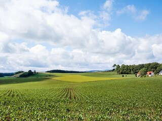 Bungalow Feusdorf Environnement 32