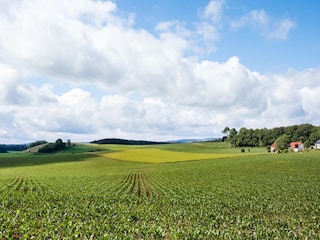 Bungalow Feusdorf Umgebung 29