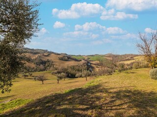 Casa de vacaciones Petritoli Entorno 37