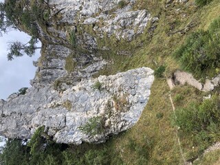 Ferienhaus Lechbruck am See Umgebung 37