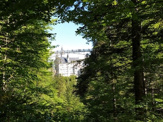 Ferienhaus Lechbruck am See Umgebung 27