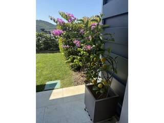 Apartment Garda Outdoor Recording 6