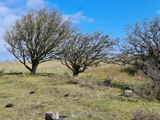 Maison de vacances Humble  22