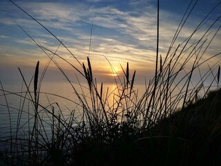 Maison de vacances Humble  12