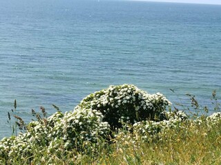 Holiday house Humble  27