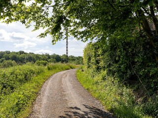 Type de propriété : Ferme Eppe-Sauvage Environnement 29