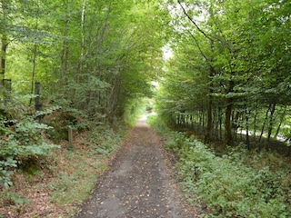 Bauernhof Eppe-Sauvage Umgebung 32