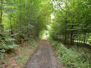 Farmhouse Eppe-Sauvage Environment 30