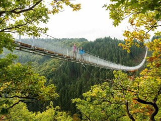 Vakantiehuis Gönnersdorf Omgeving 25