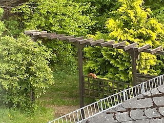 Apartment Jünkerath Außenaufnahme 3