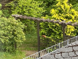 Apartment Jünkerath Außenaufnahme 6