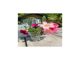 Apartamento Jünkerath  56