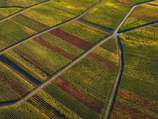 Apartment Jünkerath Umgebung 29