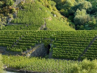 Appartamento Jünkerath Ambiente 25