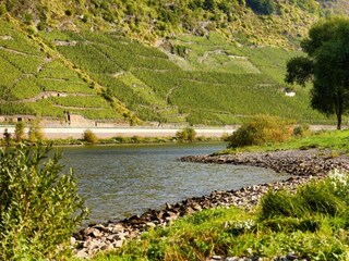 Appartamento Jünkerath Ambiente 28