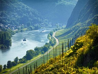 Apartment Jünkerath Umgebung 35