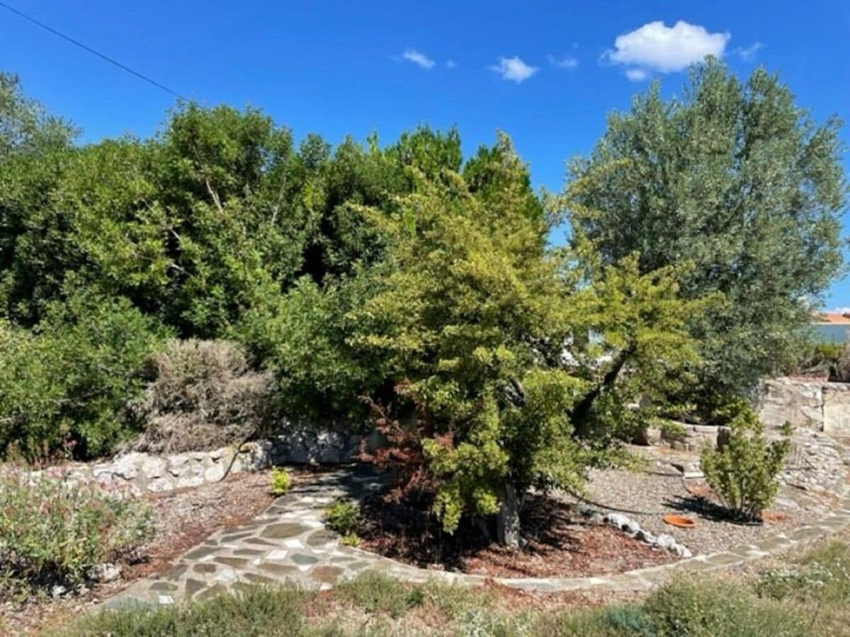 Ferienhaus Pouzols Minervois Außenaufnahme 8