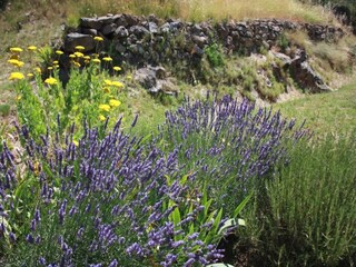 Ferienhaus Pouzols Minervois Umgebung 31