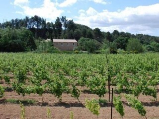 Casa per le vacanze Pouzols Minervois Ambiente 25