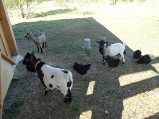 Appartamento Tauriac  25