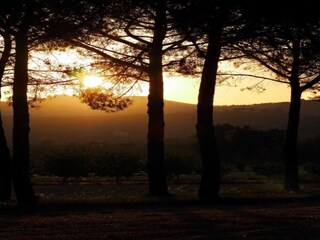 Appartement Mantignana Environnement 32