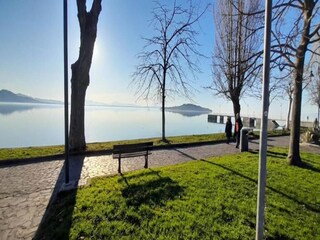 Appartement Mantignana Omgeving 24