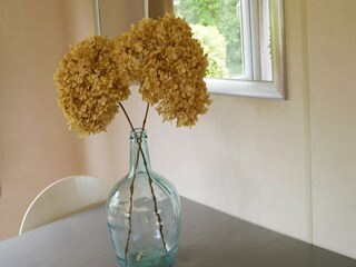 Holiday house Appelscha  26