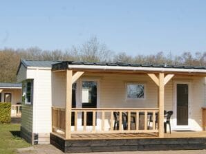 Ferienhaus Gemütliches Chalet in Appelscha mit Garten - Appelscha - image1