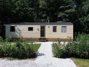 Ferienhaus Chalet am Waldrand bei Appelscha - Appelscha - image1