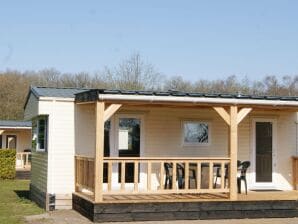 Vakantiehuis Sfeervol chalet in Appelscha met een tuin - Appelscha - image1