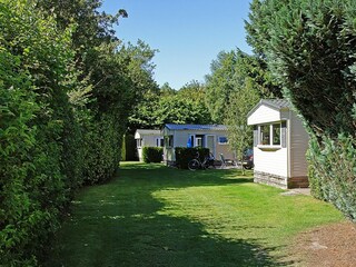 Ferienhaus Appelscha Umgebung 4