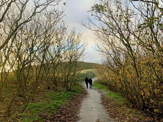 Maison de vacances De Koog Environnement 13