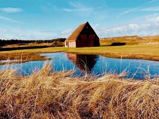 Maison de vacances De Koog Environnement 16