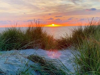 Vakantiehuis De Koog Omgeving 19