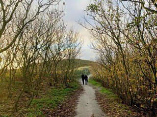 Ferienhaus De Koog Umgebung 20